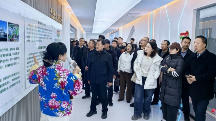 筑牢安全根基，赋能产业发展&mdash;&mdash;市市场监管局举办全市食品生产企业质量管理能力提升培训班