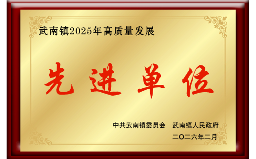 武南镇2025年高质量发展先进单位
