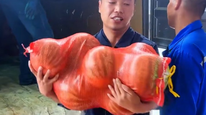 夏日炎炎送清凉，西瓜清甜暖人心｜博贞原生物乳业为全体员工发放消暑福利